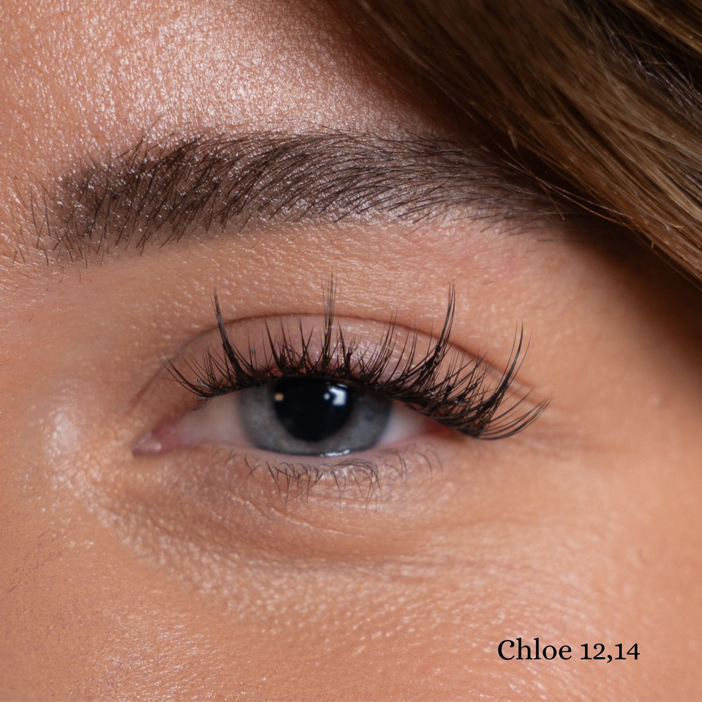 Starter Kit - Chloe