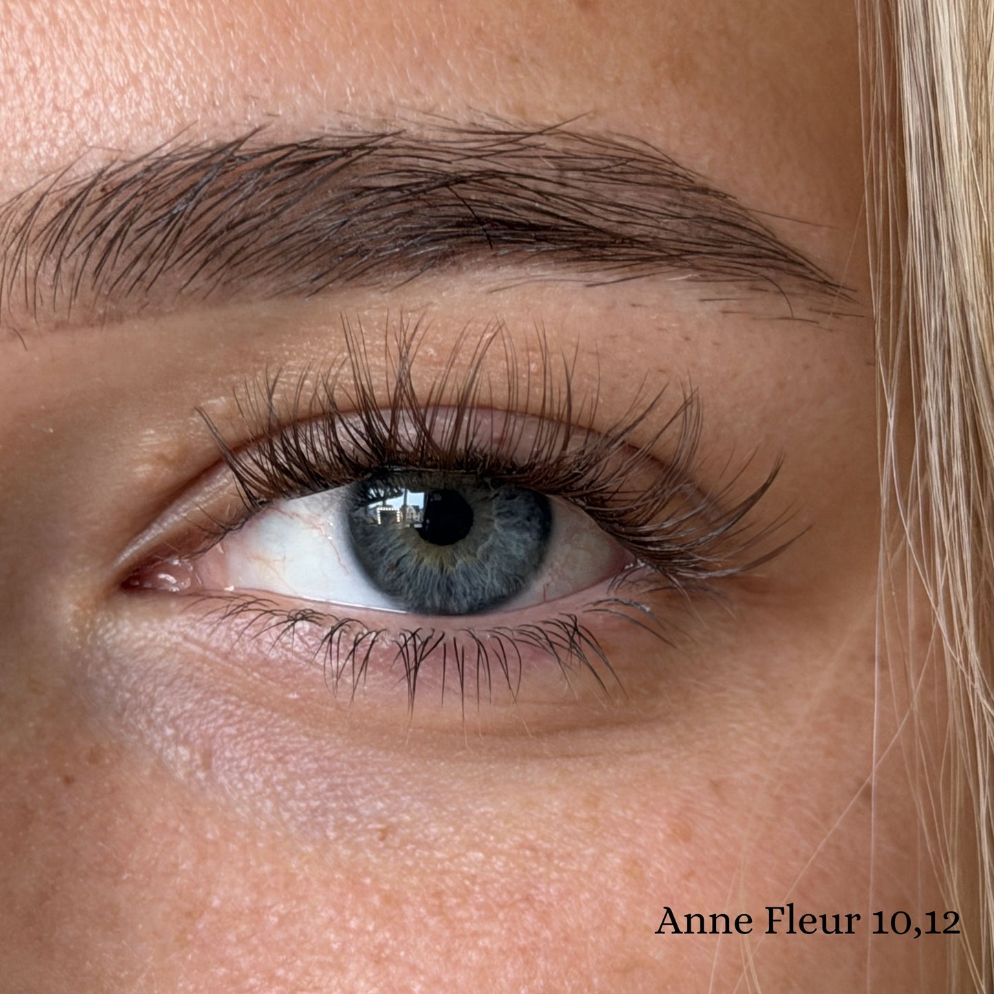 Anne fleur | Style: Moyen (MARRON)