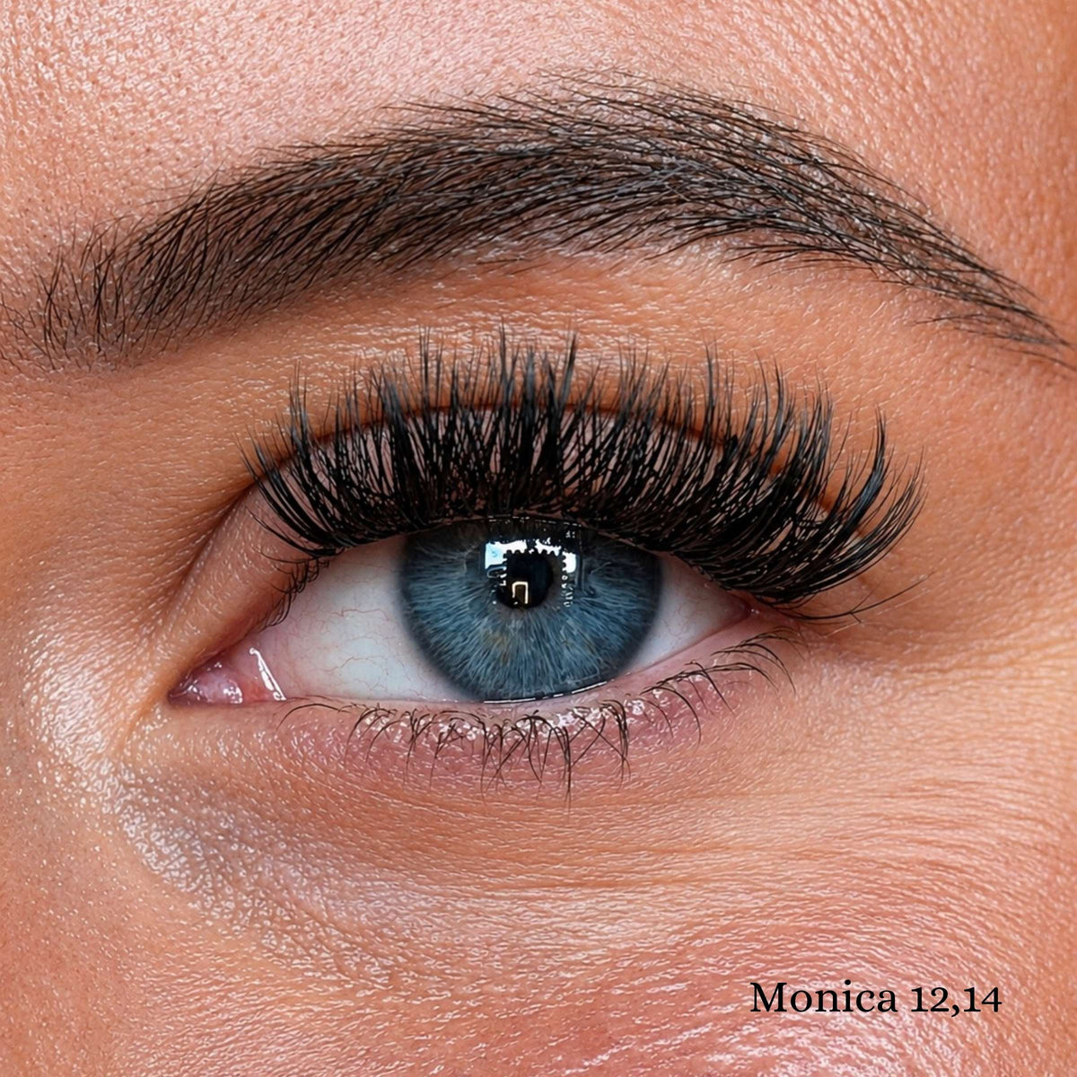 Monica cluster wimpers close-up 12mm en 14mm