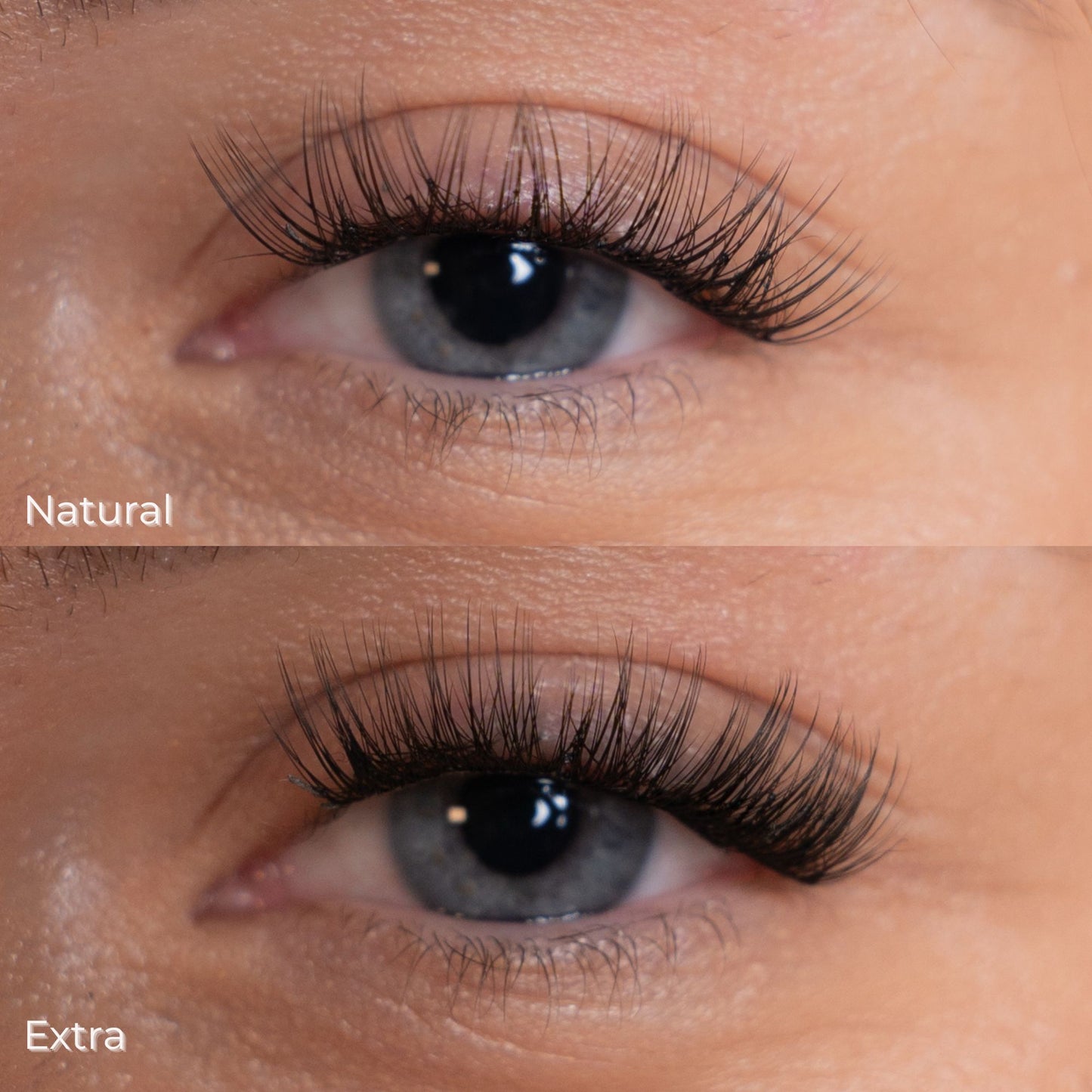 Complete Starter Kit - Alles wat je nodig hebt om te beginnen