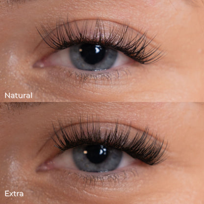 Complete Starter Kit - Alles wat je nodig hebt om te beginnen