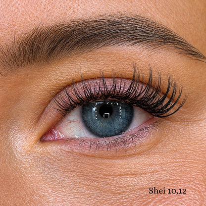 Shei close-up op het oog, 10 en 12mm