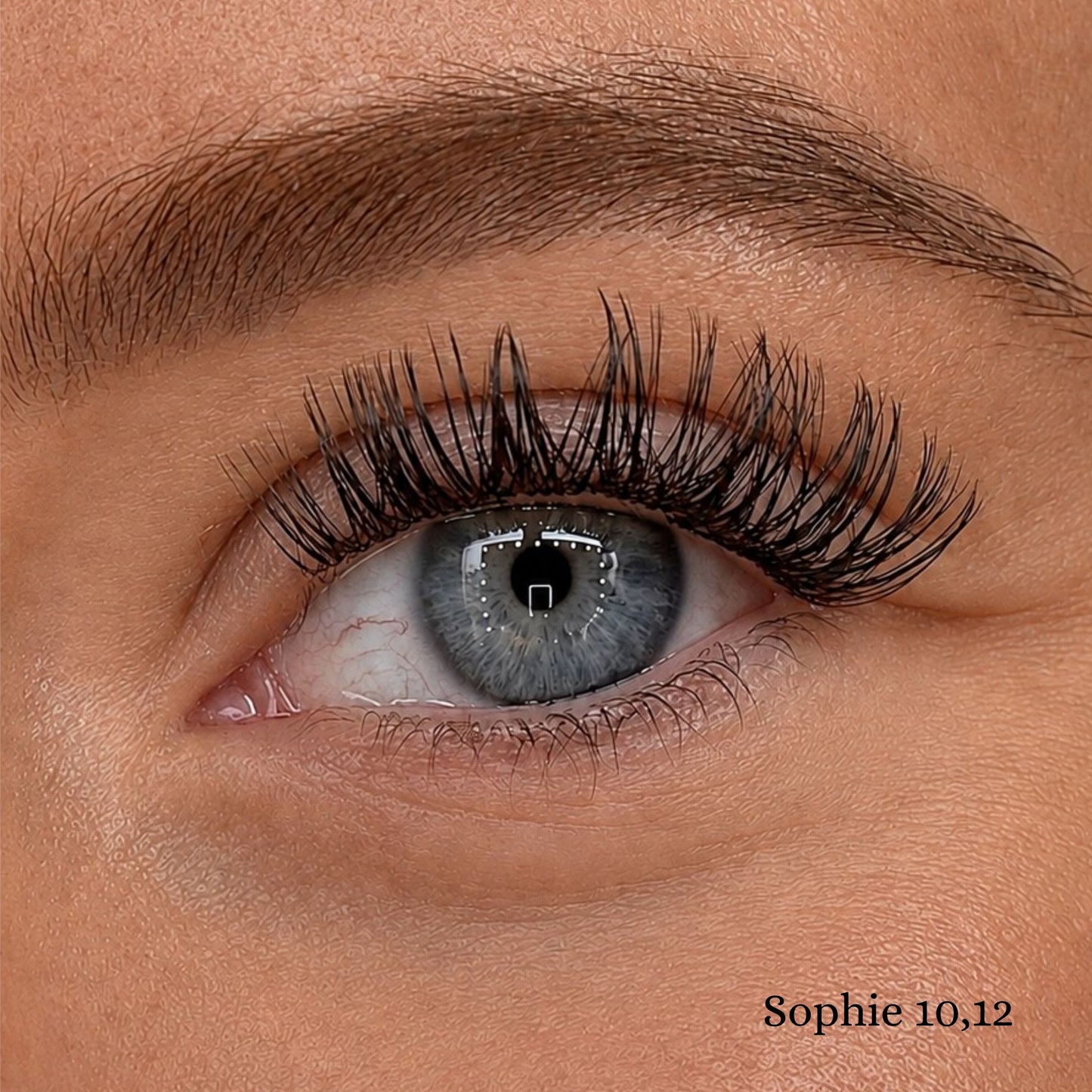 Sophie | Cils Medium