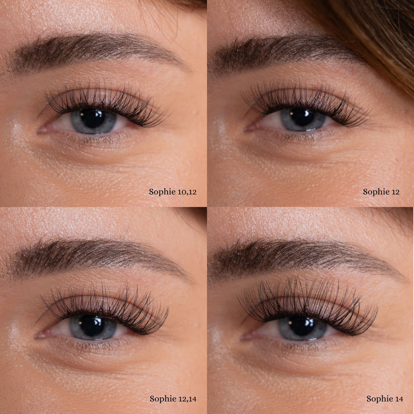 Sophie | Style: Moyen