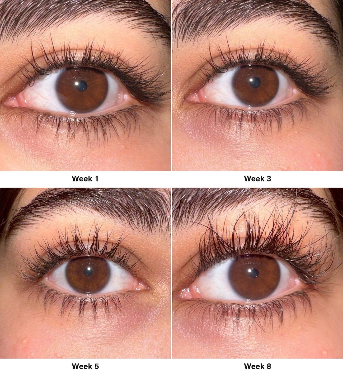 Wimperserum resultaat: oog close-up week 1, 3, 5 en 8